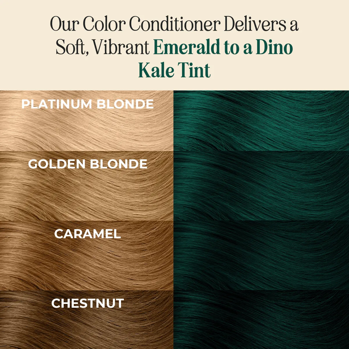 Hair Color Combo