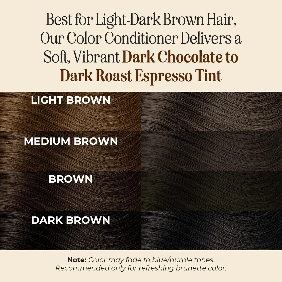 Hair Color Combo