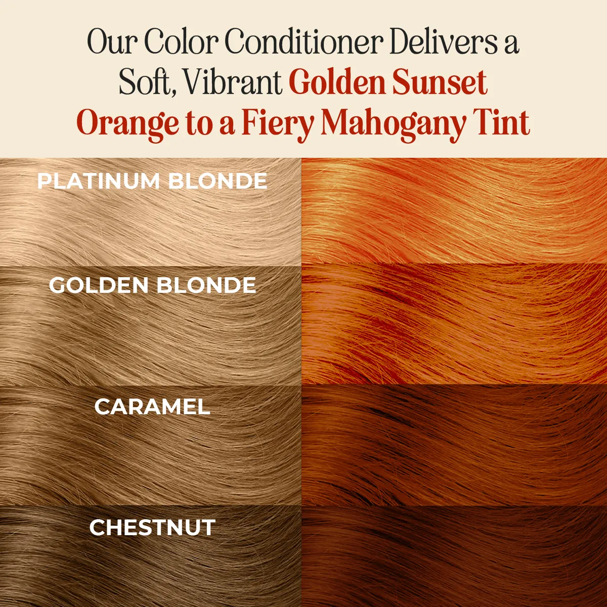 Hair Color Combo