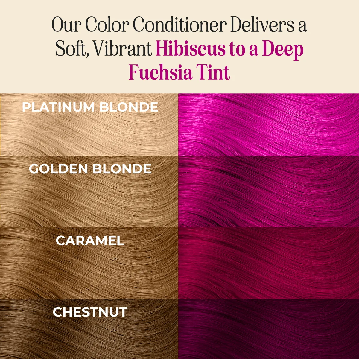 Hair Color Combo