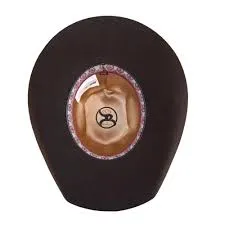 HOOEY DAY MONEY HAT (CHOCOLATE)