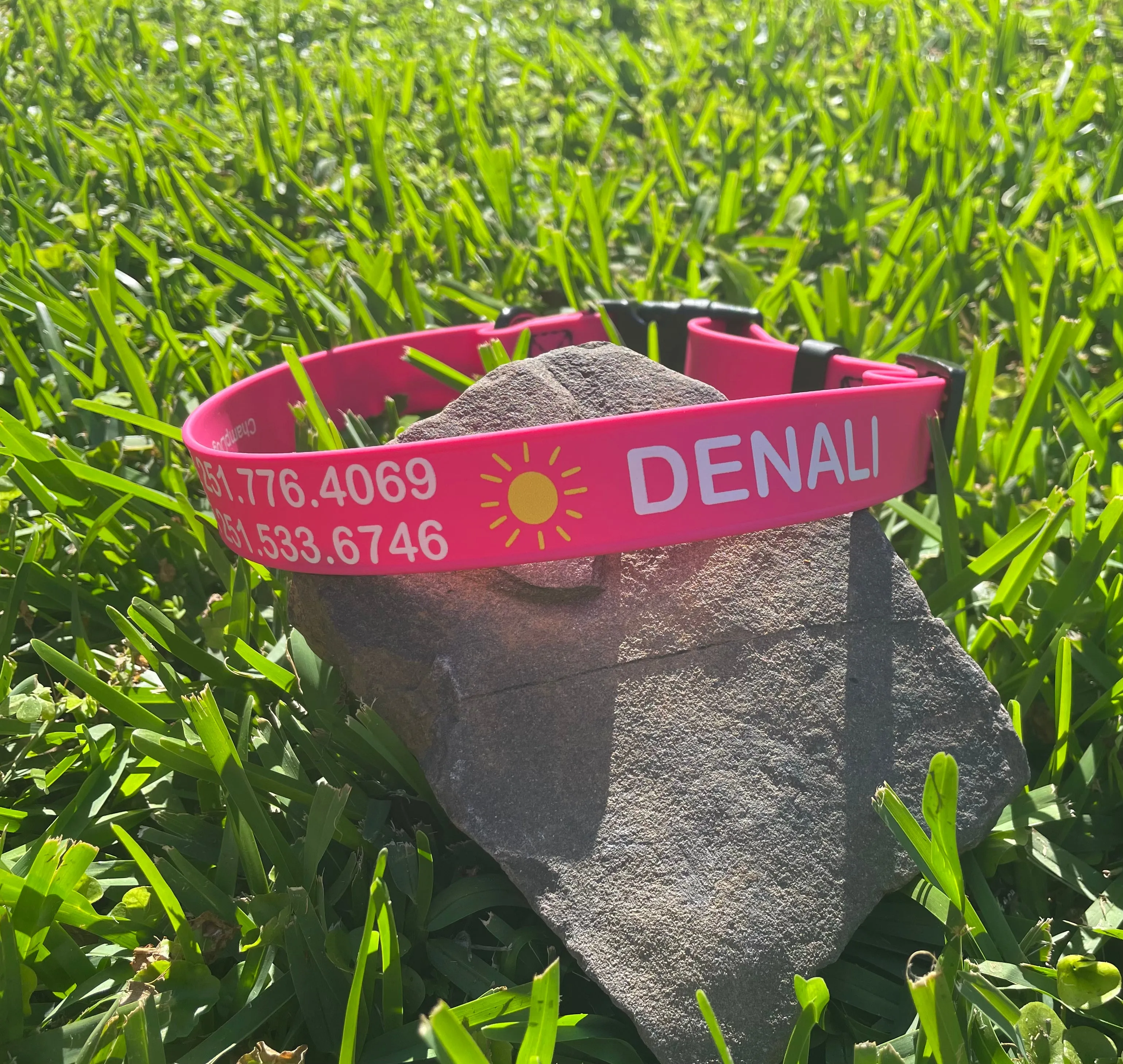 Personalized / Custom BioThane Adjustable Quick Release Collar