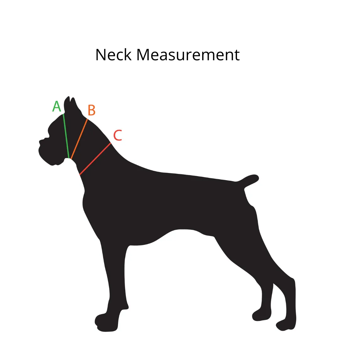 Personalized / Custom BioThane Adjustable Quick Release Collar
